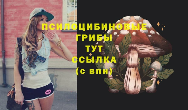 круглые Алзамай