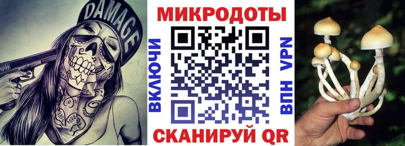 Галлюциногенные грибы Psilocybine cubensis Ирбит